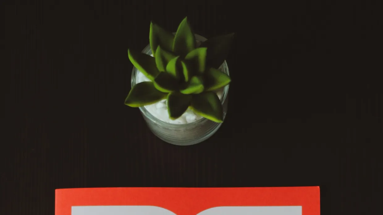 Solace: Alert Management & Incident Response Platform